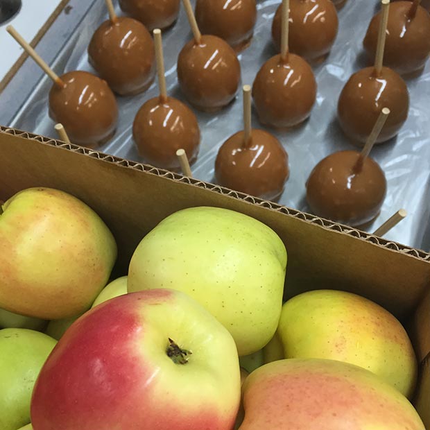 Fudge-Factory-Farm-Candy-Apples-Caramel-Apples